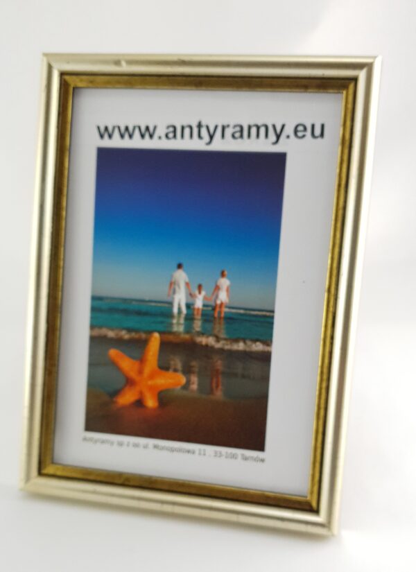 Rama Drewniana Srebrna ze Złotym Paskiem – Dwukolorowy Prestiż – Seria 060sc