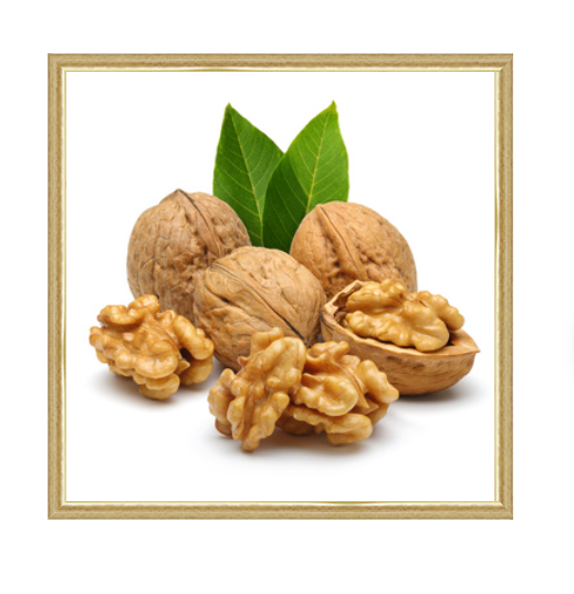 Rama z Tworzywa Jasny Dąb ze Złotym Paskiem – Nowoczesny Szyk 060pJBZP