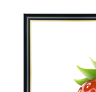 naroznik Rama z Tworzywa Czarna ze Złotym Paskiem – Nowoczesna Elegancja 060pCZP