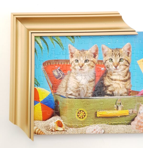 009 (5) Szeroka Rama Drewniana – Klasyczny Profil Wklęsły – Seria 001-009